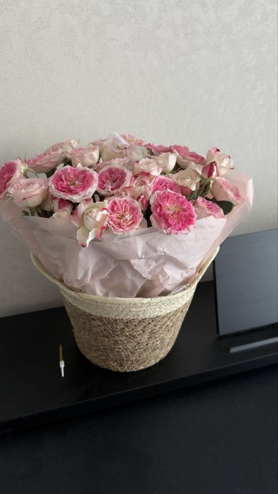 Свежие кустовые пионовидные розы