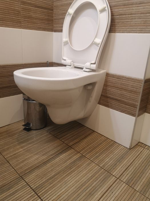 Седалка и капак за тоалетна чиния грое