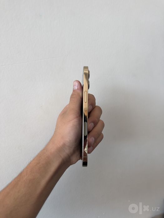 Iphone 12 pro max srochna