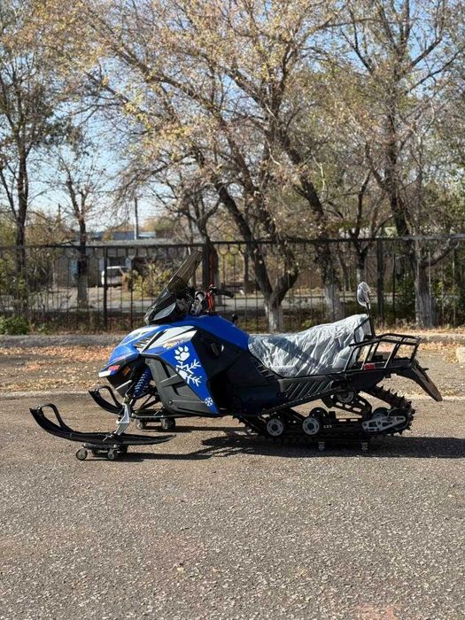 Снегоход Peda Barys SM300