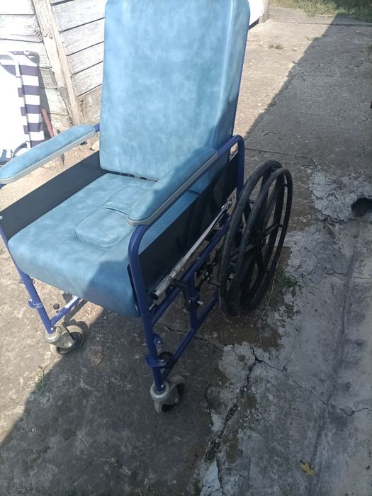 Carucior  dubla folosire (wc si plimbat )