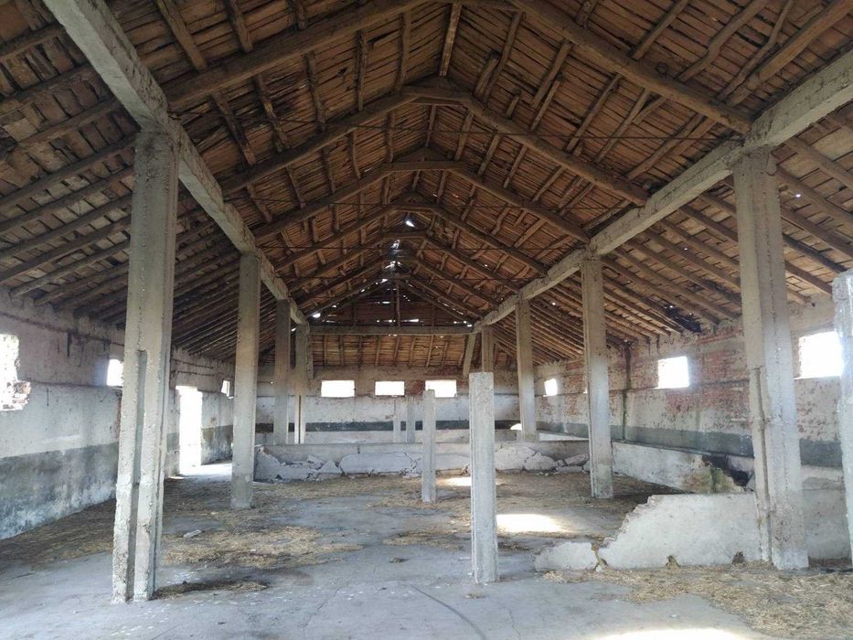 Продава се Парцел в с. Цалапица, Област Пловдив - 2300 кв.м за 22 €/кв.м - Снимка #2