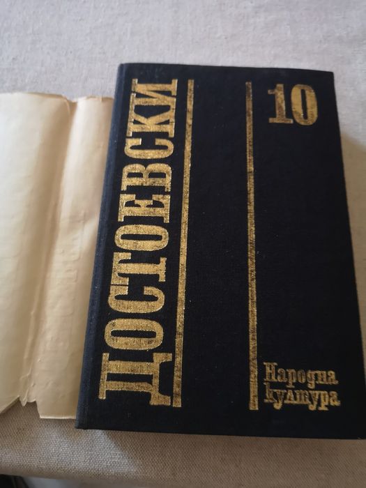 Достоевски, том 10, Дневник на писателя