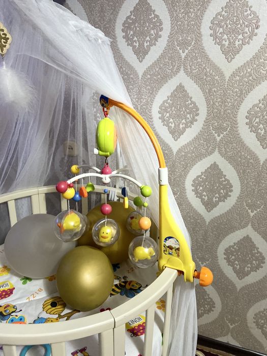 Северная звезда!