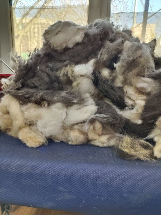 Продам подшерсток