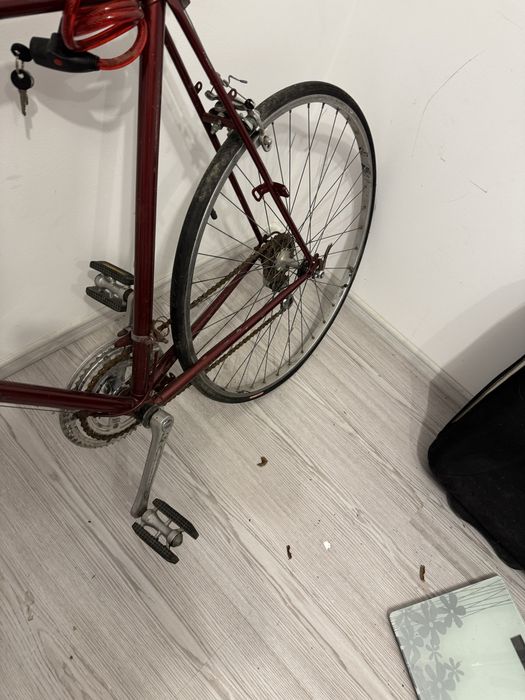 Cursiera functionala