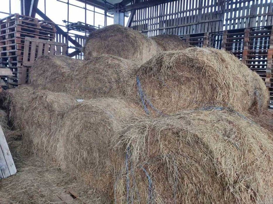 Рулонни бали люцерна