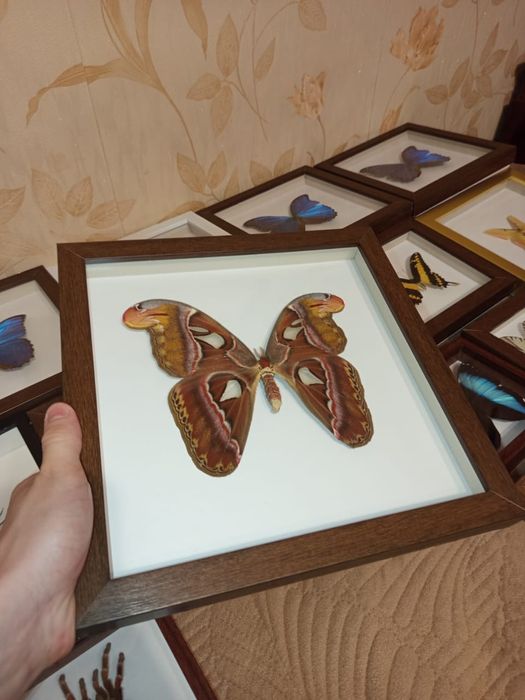 Подарок на новый год