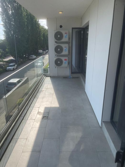3 camere de închiriat