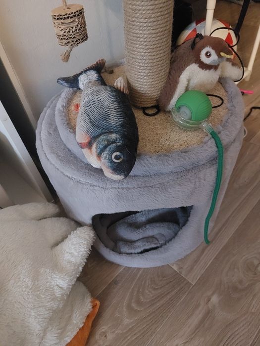 Домик и игрушки для кота