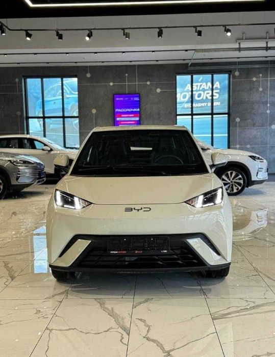 Byd Seagull naxt va halol nasiyaga