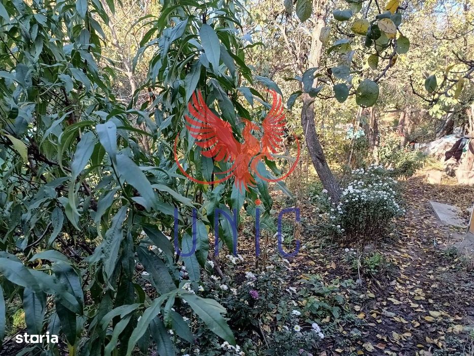 Teren Drumul Muntenilor, 980 mp, 2 deschideri