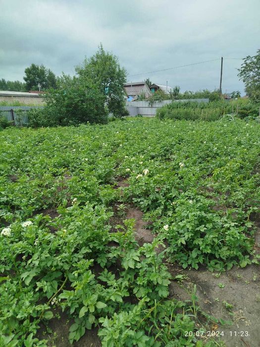 участок с времянкой 16 соток в Рабочем