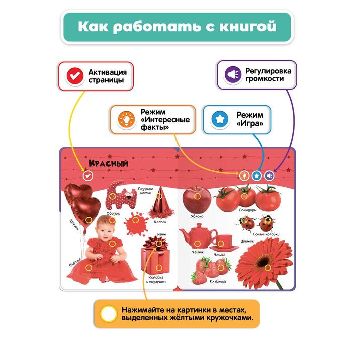 Говорящая музыкальная книга Нажималка Цвета