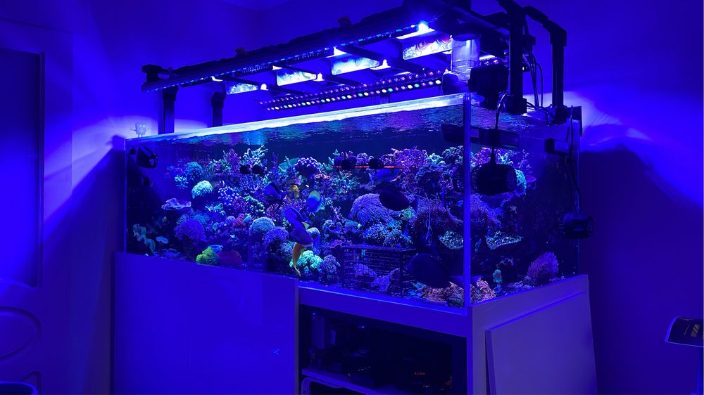Морской аквариум на 1000 литров