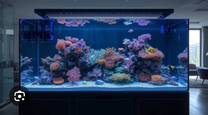 Akvarim yasash remot xizmati.