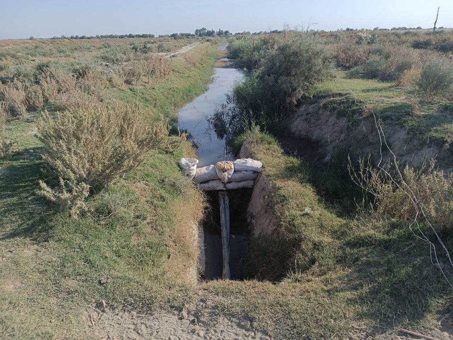 "Baliq xavzasi" mulki