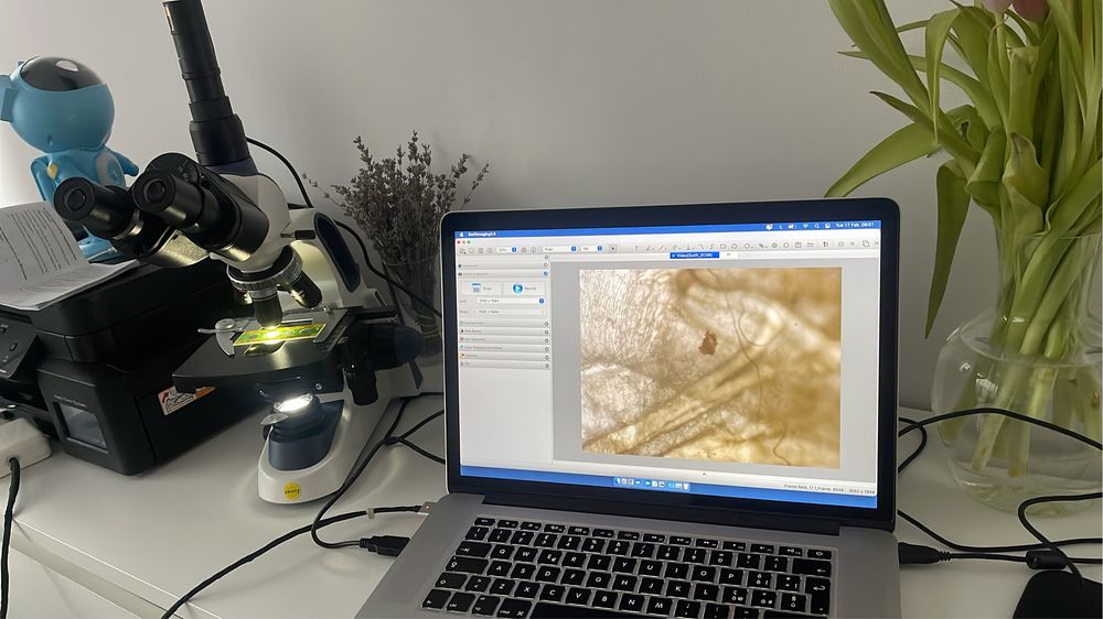 Microscop trinocular SWIFT SW380T