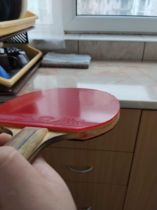 Paleta Tenis de masa