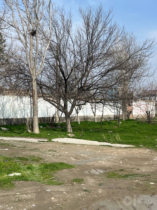 Dala hovli yer uy