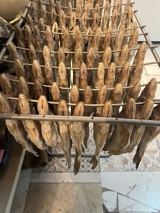 Рыба судак вяленый сушеный малосоль