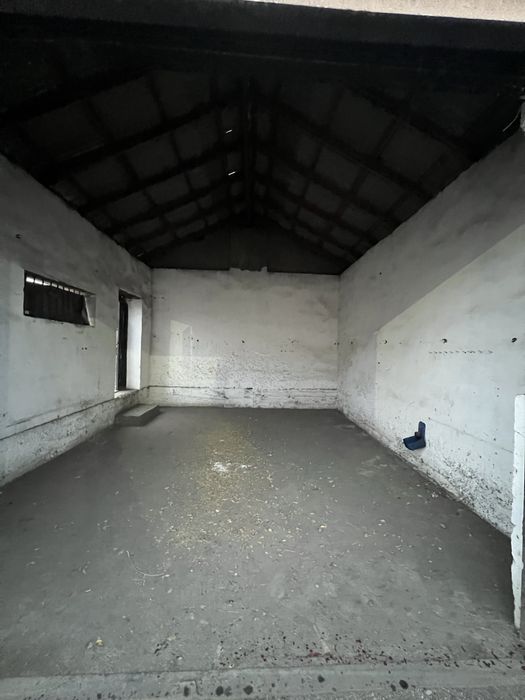 Аренда , жалга беру