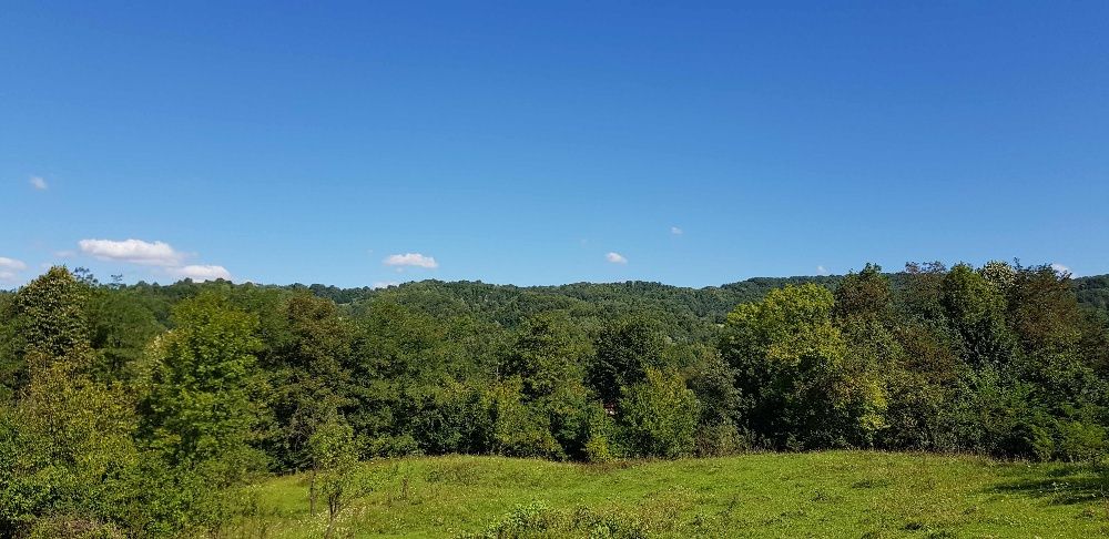 Teren intravilan Provita de jos (langa Breaza)- PRAHOVA    REDUCERE!!!