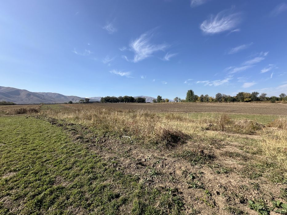 Продам участок 7.4 сотки в СНТ