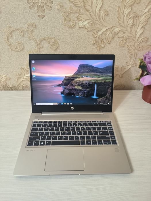 HP ProBook 445 G7