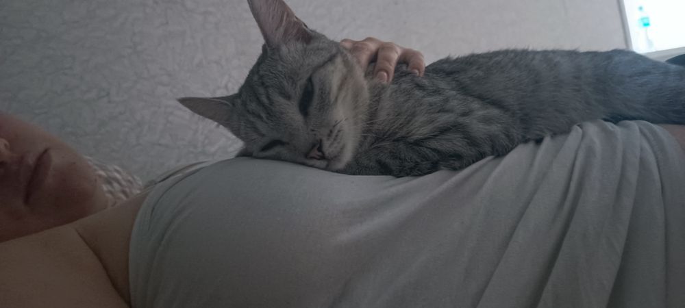 Отдам в хорошие руки