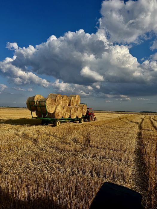 Baloti din paie de grau