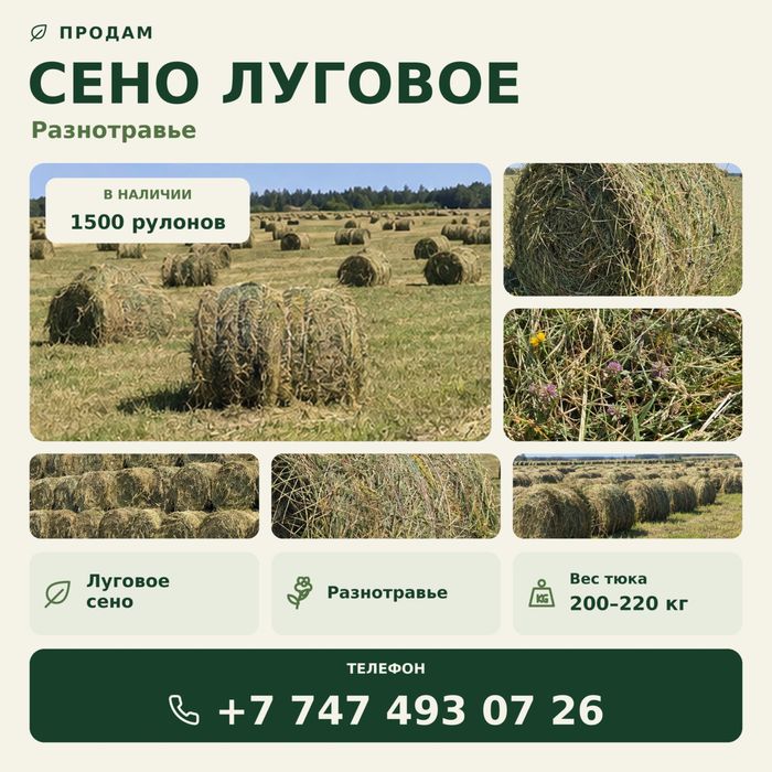 Продам луговое сено