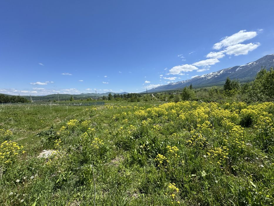 Продам земельный участок