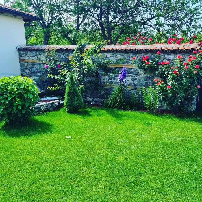 Тревен чим, Озеленяване