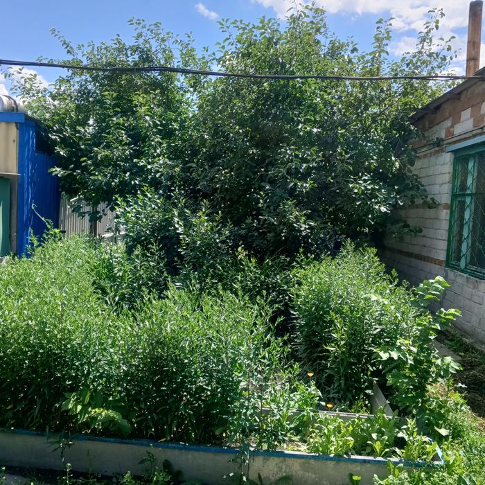 Продам дом в п. Чкалово