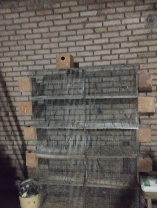 Клетка 5 етажли  сотилади 10 та кодок