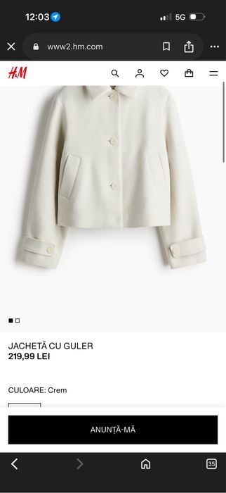 Jacheta H &M dama masura L
