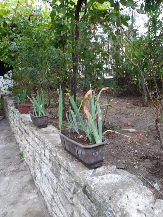 Дава се под наем Къща в с. Константиново, Област Варна - 89 кв.м за 408 € - Снимка #14