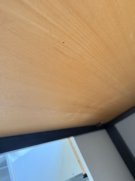 Продам стол+4 стула массив