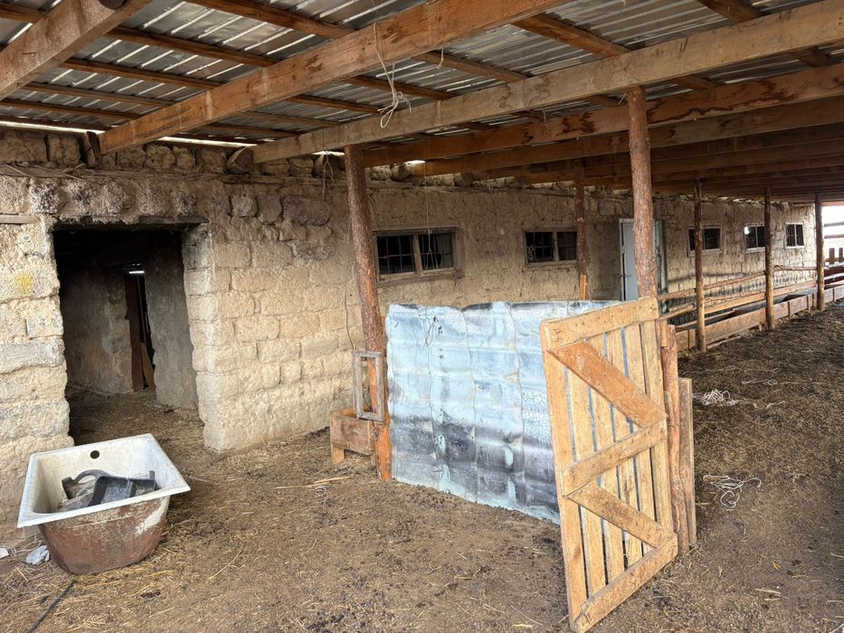 Фазенда мал баққанға өте ыңғайлы