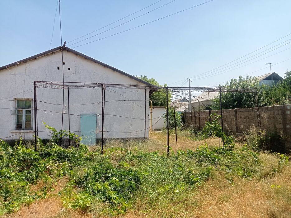 Uy sotiladi 7 soʻtx