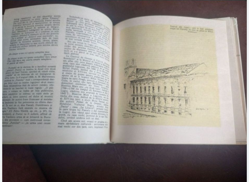 Pașii poetului - Mihai Eminescu