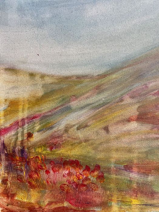 Tablou 40x40 unicat “Fields of Poppies” (Câmp cu Maci)