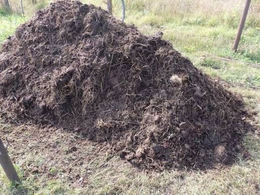 Продам навоз дешево