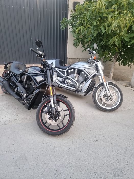 Harley-davidson night rod