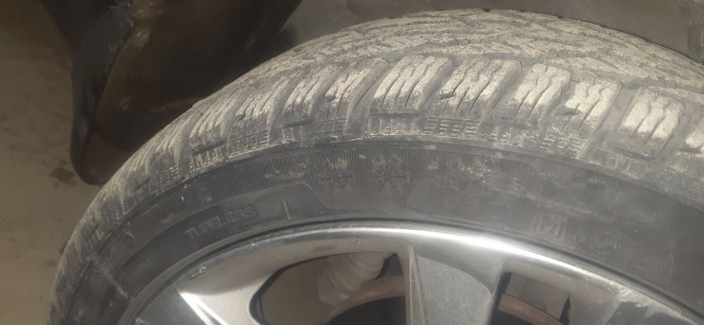 Diska balon jentraga 17