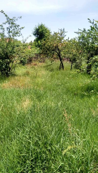 Продава се Къща в с. Кръстевич, Област Пловдив - 70 кв.м за 350 €/кв.м - Снимка #3