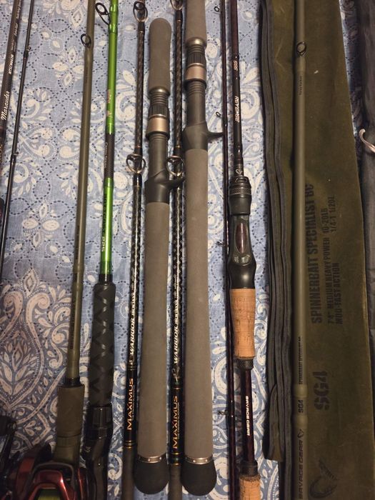 Shimano scorpion, DAM, MADCAT, SAVGE GEAR, MAXIMUS GLADIATOR, Golden Catch Inquisitor,