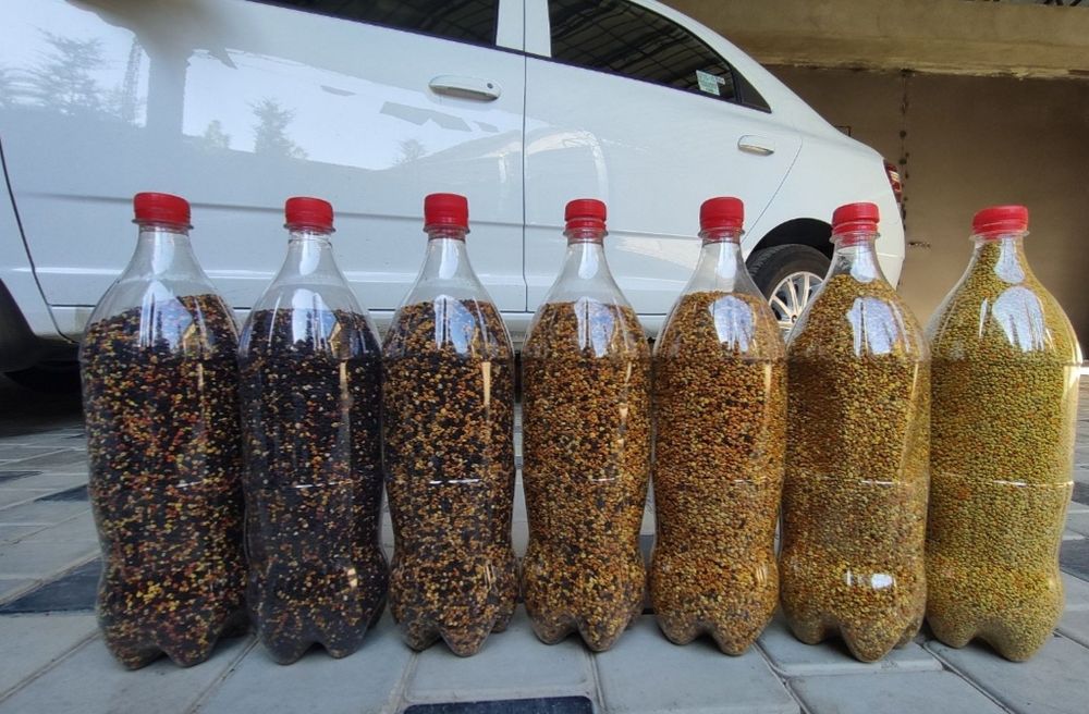 Цветочная пыльца при анемии