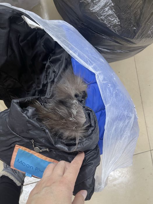 Отдам вещи бесплатно